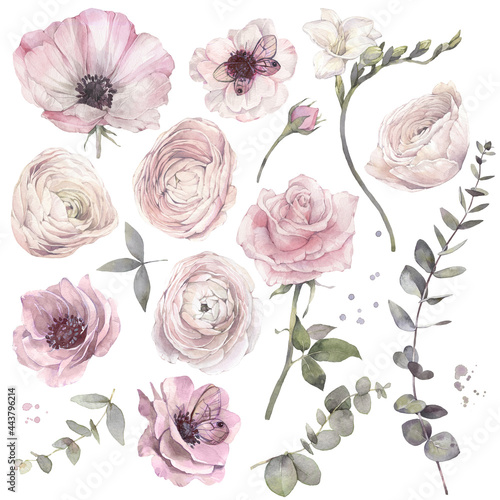 Hand painted watercolor illustration. Floral set of tender flowers.
