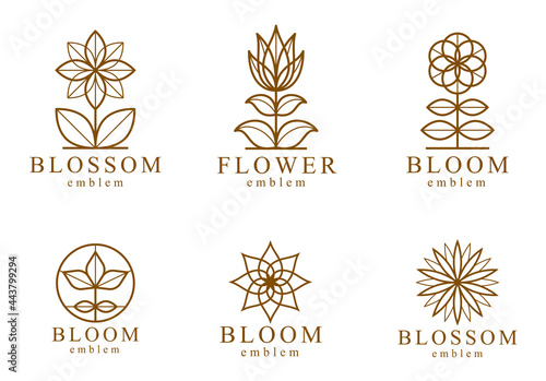 Geometric linear style vector flower logos or emblems set, sacred geometry floral symbols line drawing emblems collection, blossoming flower hotel or boutique or jewelry logotypes.