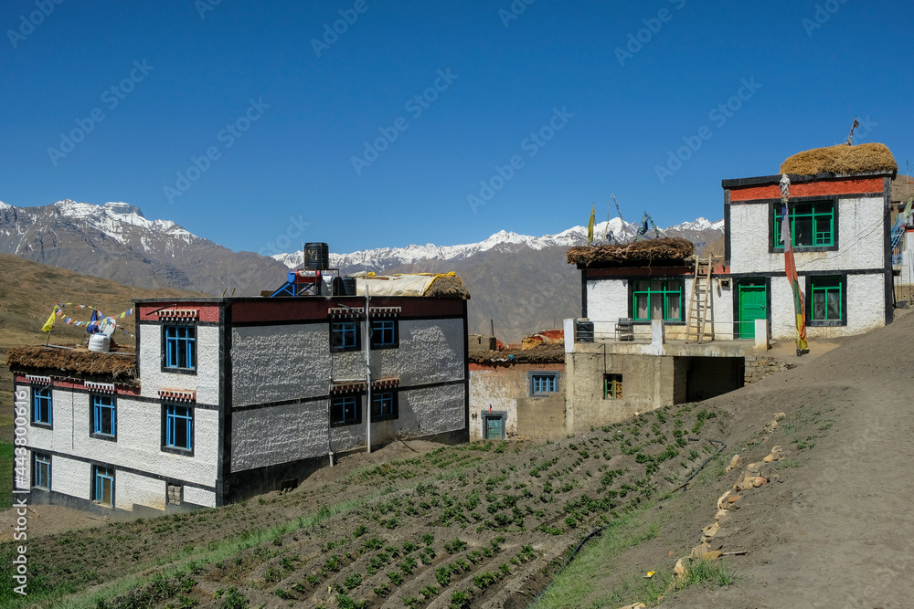Langza, India - June 2021: View of Langza village in the Spiti valley in the Himalayas on June 29, 2021 in Himachal Pradesh, India.