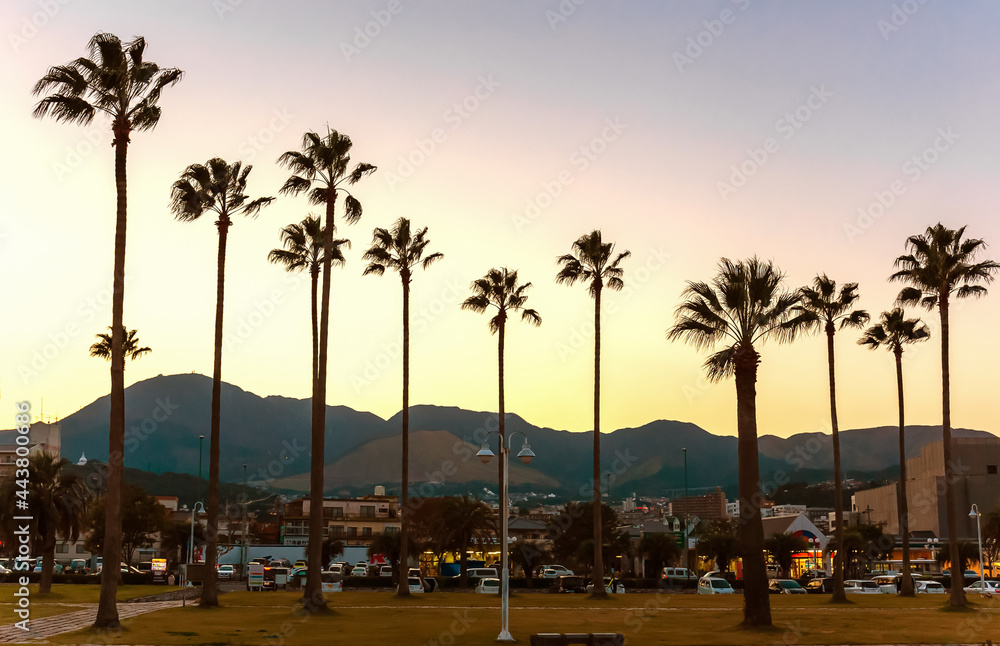 Fototapeta premium The silhouette of tall palm trees against the background of mountains and the sunset sky