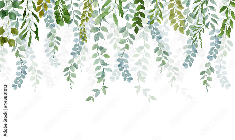 Image for photo wallpapers and murals.
The branches of the plants hang down from top to bottom on a white background - obrazy, fototapety, plakaty 