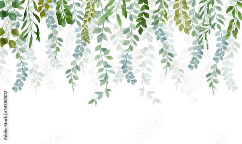 Image for photo wallpapers and murals. The branches of the plants hang down from top to bottom on a white background