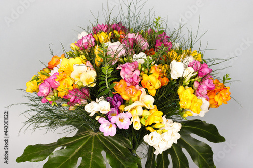 Wallpaper Mural Bouquet of cut freesias. Torontodigital.ca