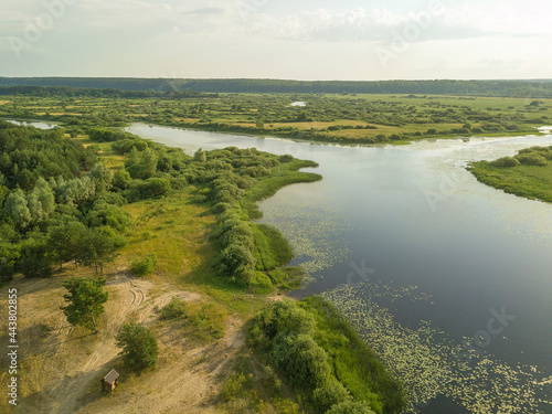Drone view of the beautiful landscape of the lake, fields, trees on a sunny evening before sunset © yaroslav1986