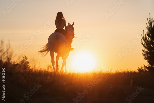 Caucasian woman and horse training during sunset
