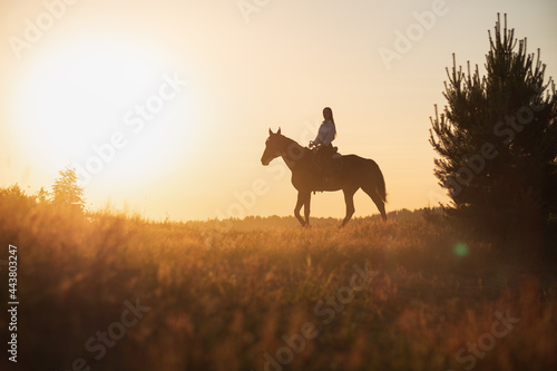 Caucasian woman and horse training during sunset
