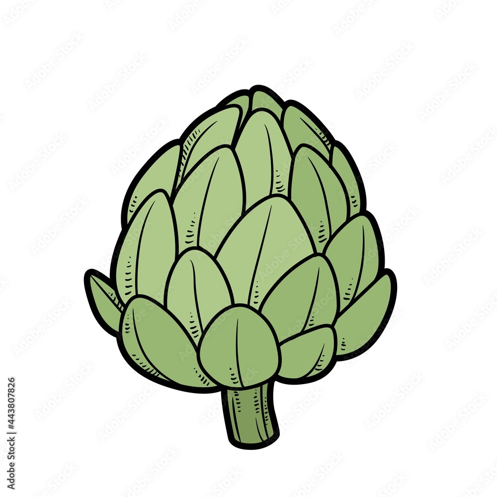 Fototapeta premium Artichoke color variation for coloring page isolated on white background