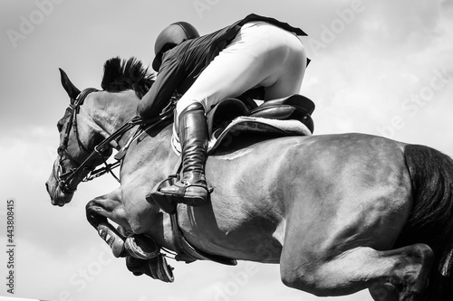 Black and white Equestrian Sports photo-themed: Horse jumping over the obstacle.