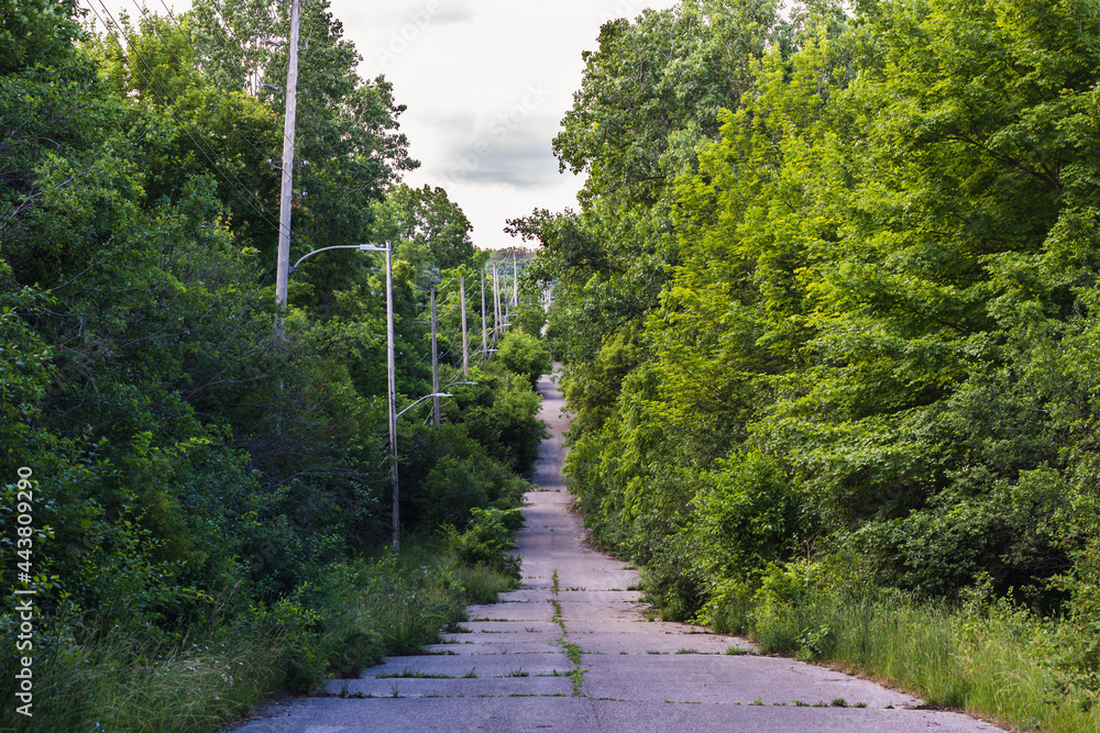 Nature and a forest of trees reclaiming an old, cracked, unmaintained hilly road that is lined with streetlights. 
