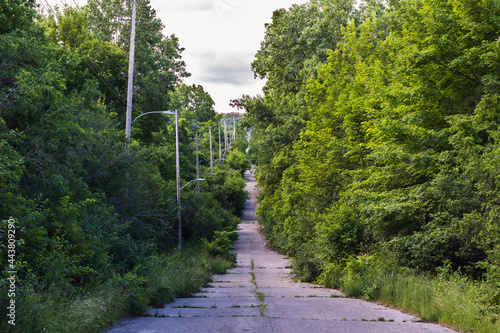 Nature and a forest of trees reclaiming an old, cracked, unmaintained hilly road that is lined with streetlights. 