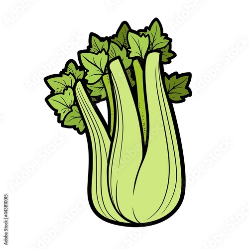Stem of juicy celery color variation for coloring page isolated on white background