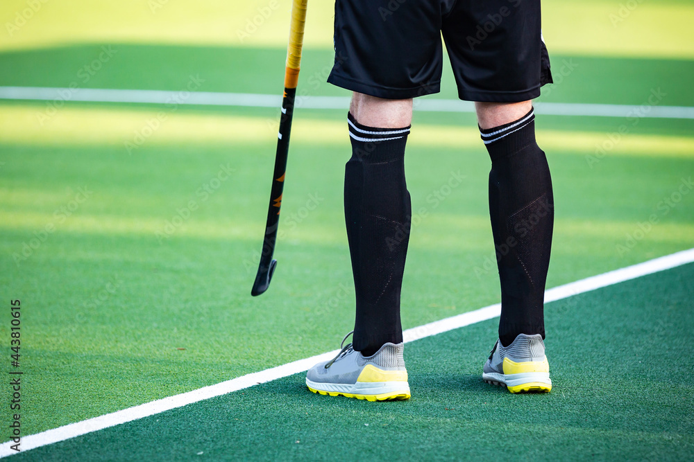 Obraz premium Hokey field sports photo-themed: Professional hockey field athletes playing on a match.