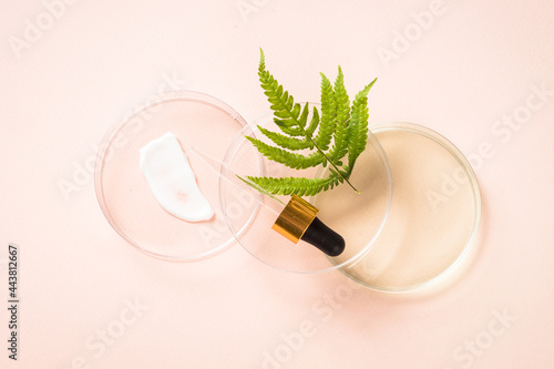 Cosmetic laboratory concept. Glass petri dish with different cosmetic products and green plants. Top view at pastel background. photo