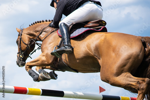 Equestrian Sports photo-themed: Horse jumping over the obstacle. © Pratiwi