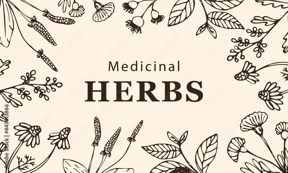 Frame made of herbs and plants in sketch style. Botanical natural frame for design or background. Nature concept. Vector illustration in sketch style. Frame made of herbs and plants in sketch style. Botanical natural frame for design or background. Nature concept. Vector illustration in sketch style.
