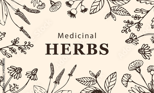 Frame made of herbs and plants in sketch style. Botanical natural frame for design or background. Nature concept. Vector illustration in sketch style.