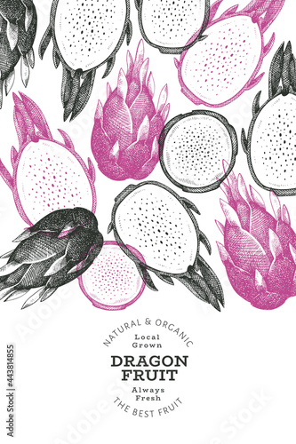 Hand drawn dragon fruit design template. Organic fresh food vector illustration. Retro pitaya fruit banner.