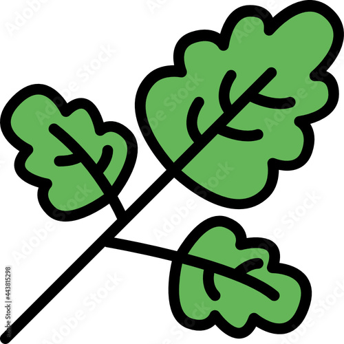 parsley color outline icon