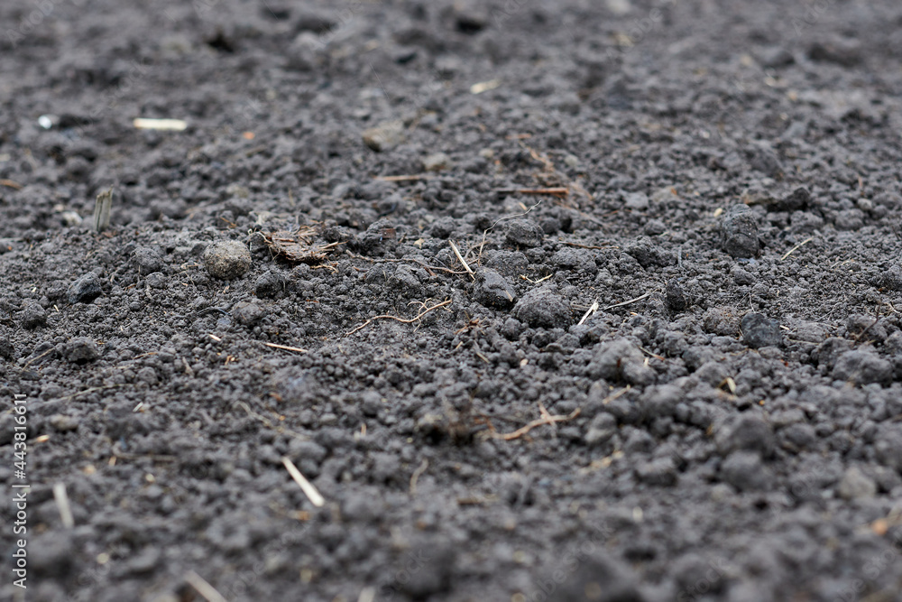 Black soil macro photo, close up image of wet mud. Black soil macro photo, close up image of wet mud.
