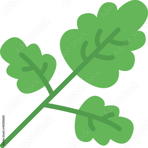 parsley flat icon