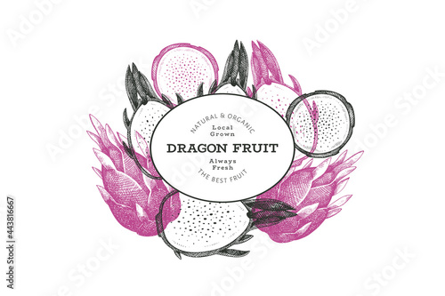 Hand drawn dragon fruit design template. Organic fresh food vector illustration. Retro pitaya fruit banner.