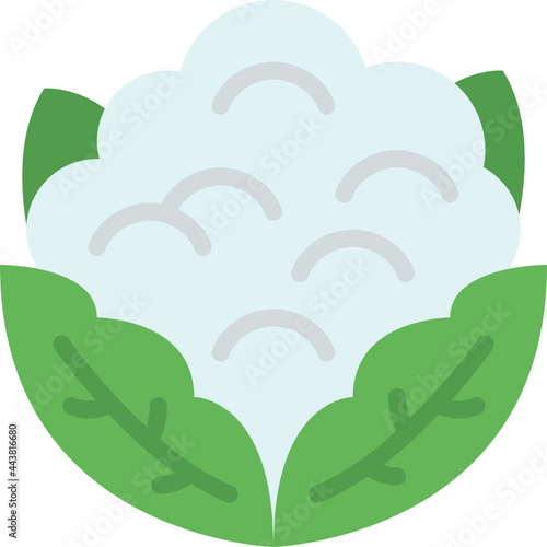 cauliflower flat icon