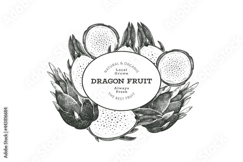 Hand drawn dragon fruit design template. Organic fresh food vector illustration. Retro pitaya fruit banner.