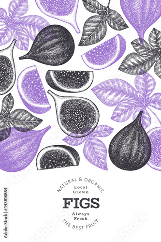 Hand drawn fig fruits design template. Organic fresh food vector illustration. Retro fig fruit banner.
