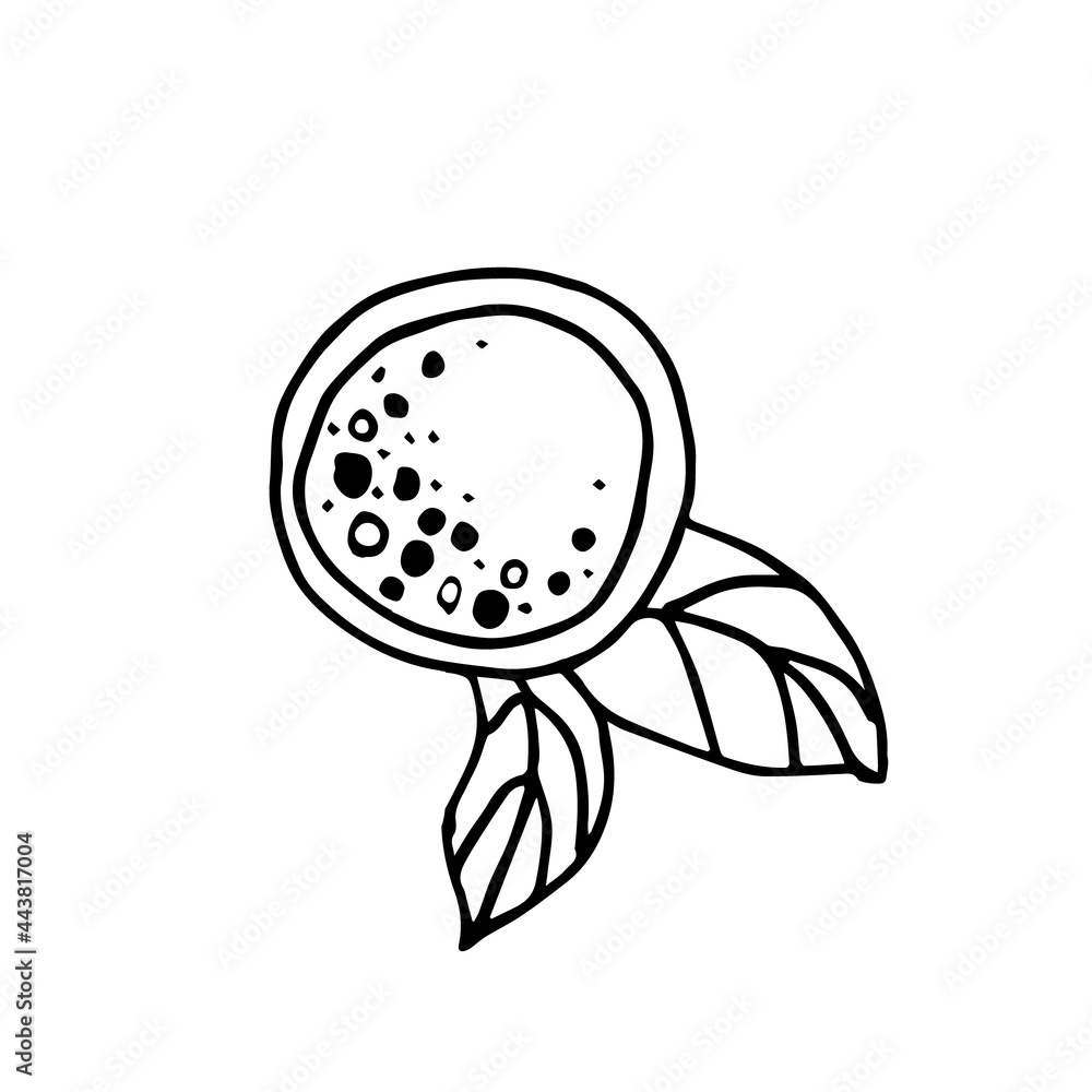 Fototapeta premium Vector mug with black tea on a white background top view. Mug of tea with tea leaves