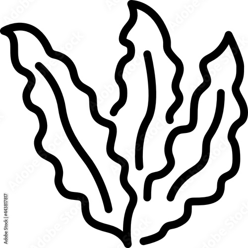 seaweed outline icon