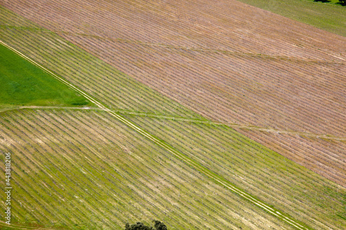Aerial view of Alentejo vineyards.