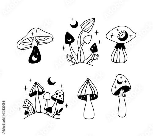 Mystical mushrooms isolated clipart set, magic line celestial mushroom, moon and stars, witchy esoteric objects, floral mystical - black and white vector illustration