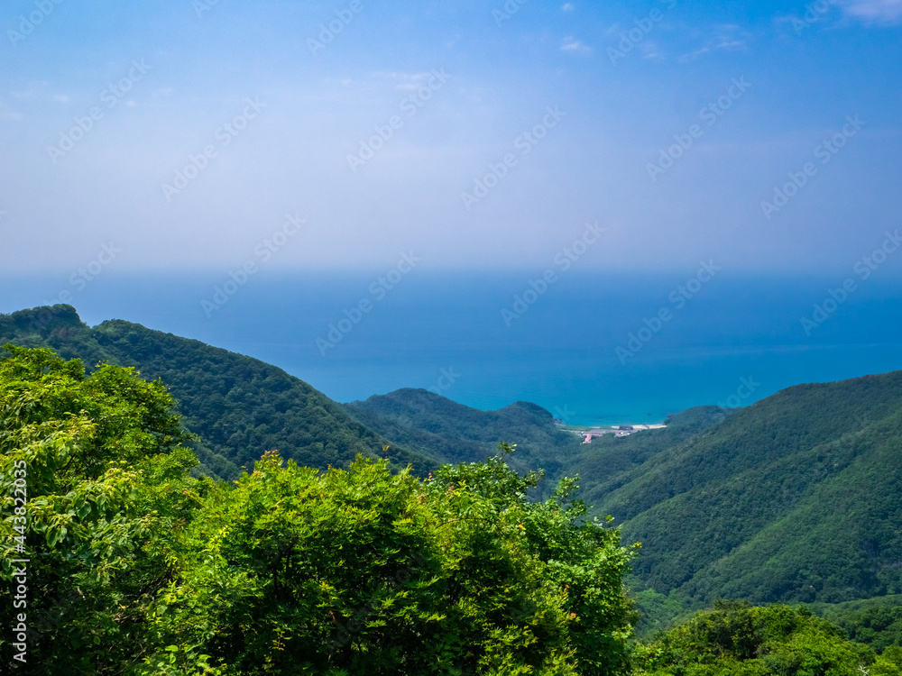 Overlooking sea from the top of mountain (Mt.Yahiko, Yahiko, Niigata, Japan)