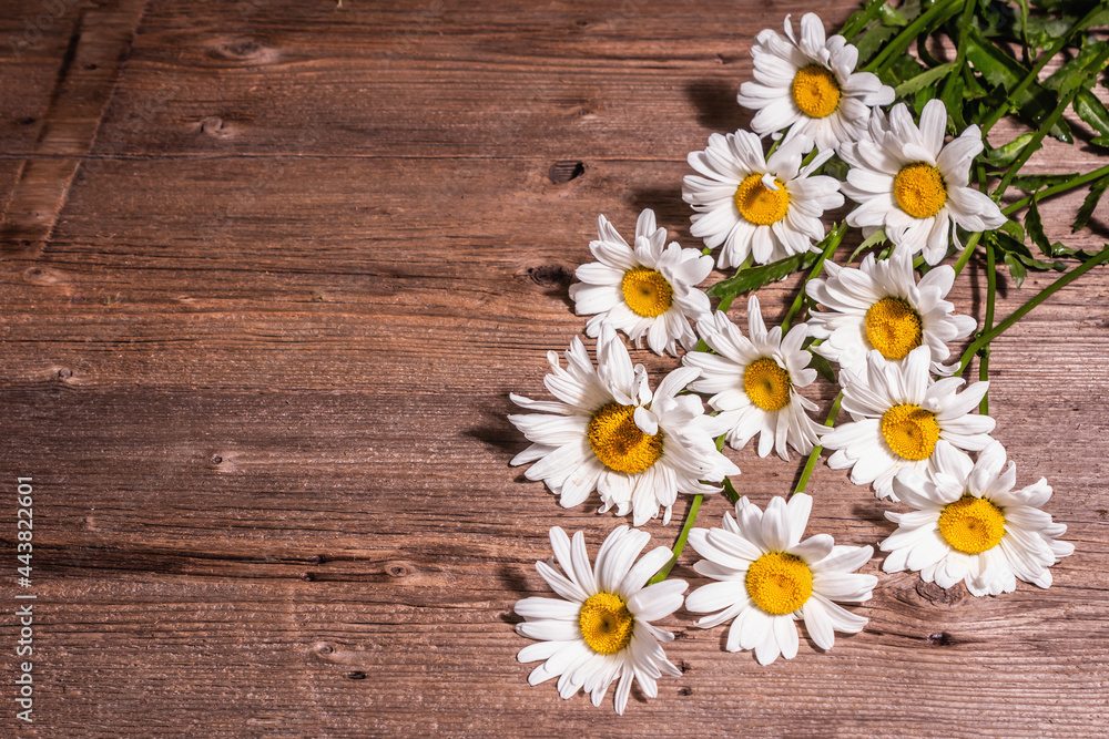 Obraz premium Chamomiles on a wooden background