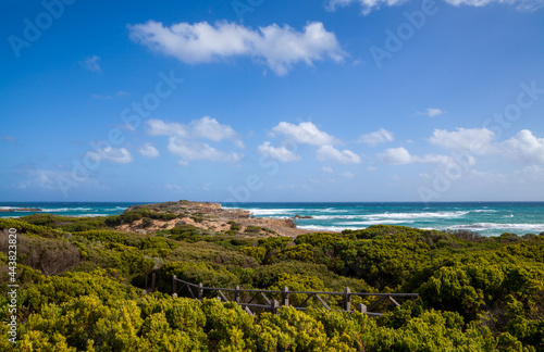 The lush green thicket of the tropics is cut off by the view of the ocean and blue sky. A beautiful screensaver for the web or natural background for the presentation. Beautiful landscape pattern. 