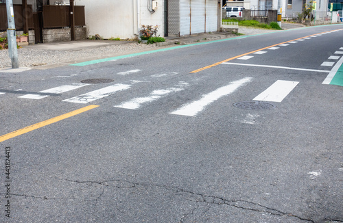 Wallpaper Mural 日本で撮影した横断歩道の写真。無人。 Torontodigital.ca
