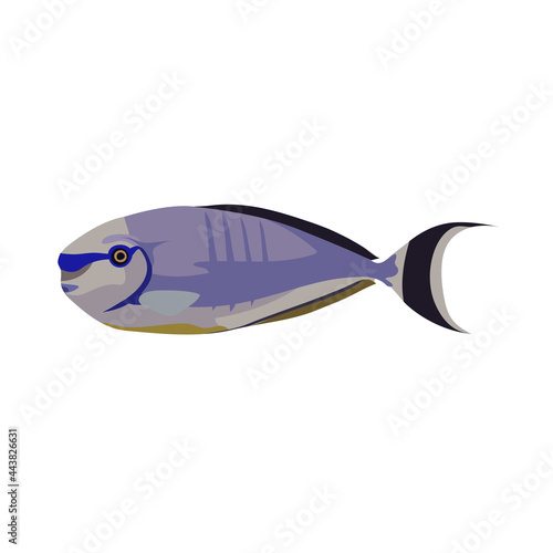 Cartoon illustrations of surgeon fish isolated on white background.