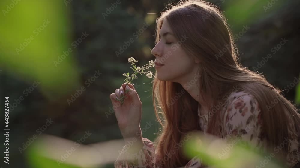 A beautiful girl in the forest against the sunset picks a white flower and sniffs it. Antihistamines during spring flowering. Life without allergy. A beautiful girl in the forest against the sunset picks a white flower and sniffs it. Antihistamines during spring flowering. Life without allergy.