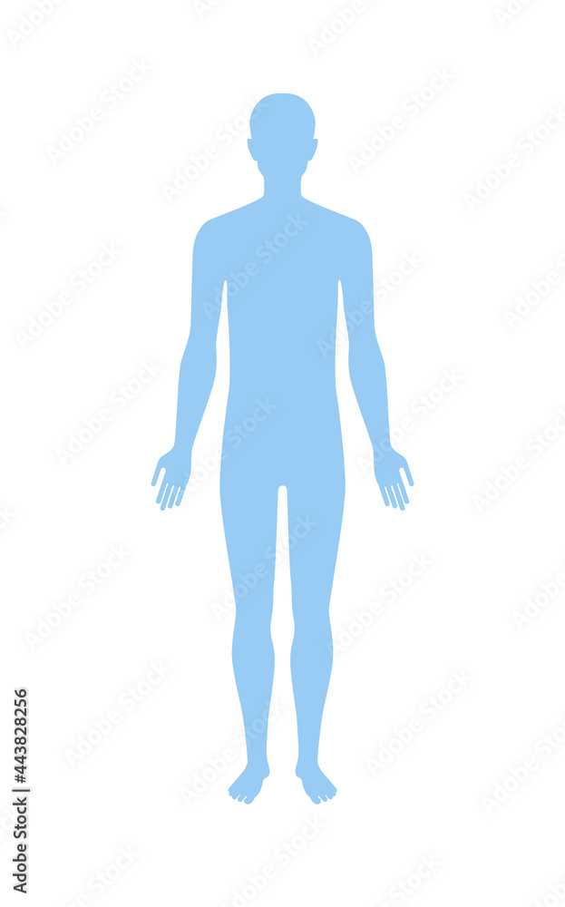 Standing human body silhouette front view. Vector illustration isolated on white. Standing human body silhouette front view. Vector illustration isolated on white.