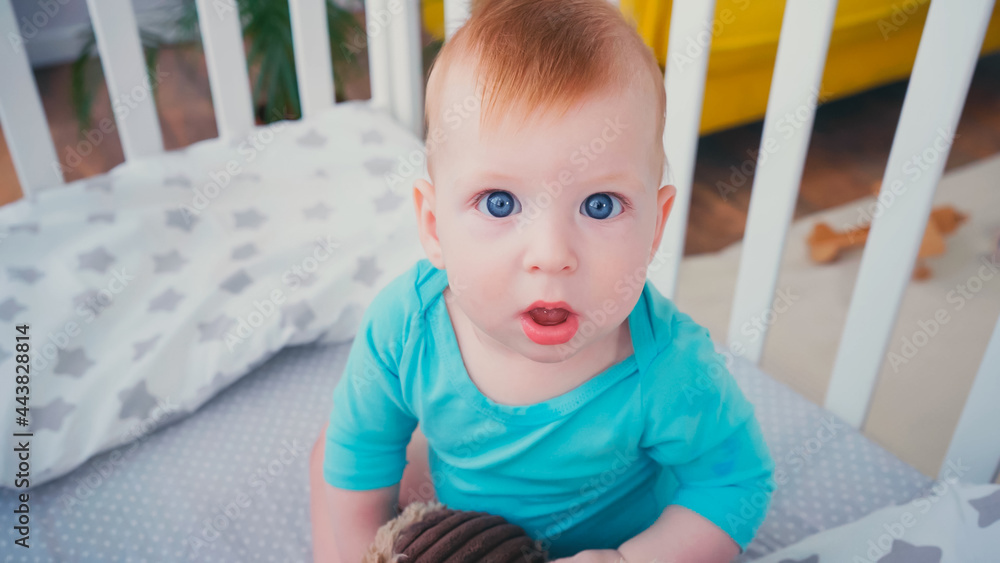 high angle view of surprised baby boy looking at camera and playing with soft toy in blurred crib