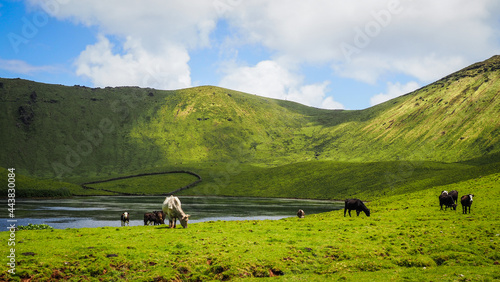 The landscape of Corvo island in the Azores photo