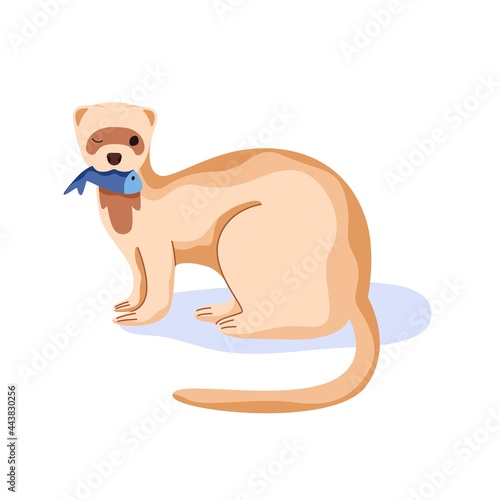 Cute ferret holding fish in mouth and winking. Funny weasel with food. Adorable stoat animal eating. Flat cartoon vector illustration of lovely mink isolated on white background.