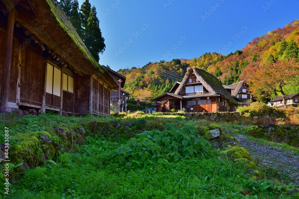 世界遺産　五箇山合掌造り集落　秋景