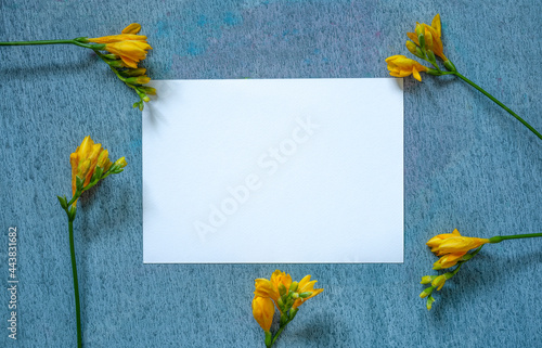 blank invitation or greeting card, painting a paper card with a delicate, beautiful texture, hand-painted background mix of watercolor and tempera paints, decoration natural yellow freesias