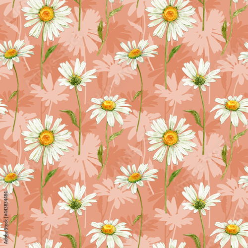Seamless pattern with white meadow flowers chamomile on a pink background  illustration of watercolor.
