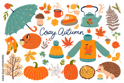 Set of autumn items isolated on a white background. Vector graphics.