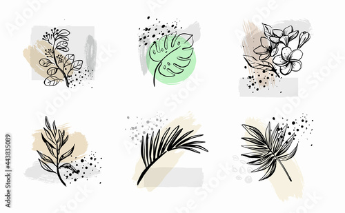 Abstract line art tropical flower. Leaf tropic on geometric shapes background. Sketch line drawing vector