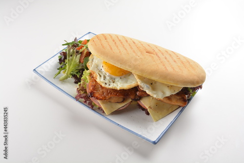 assorted sandwiches club with focaccia bread, grilled teriyaki chicken , cheese and fried egg with salad in white background western halal menu