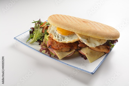 assorted sandwiches club with focaccia bread, grilled teriyaki chicken , cheese and fried egg with salad in white background western halal menu