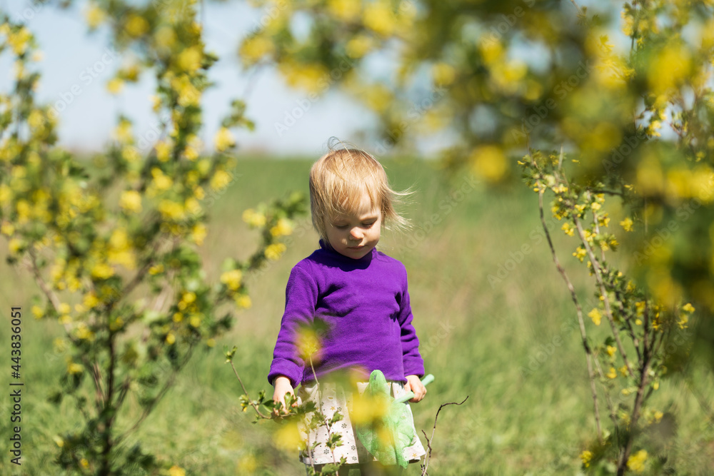 a blonde girl stands among the yellow flowers and looks down at the grass a blonde girl stands among the yellow flowers and looks down at the grass
